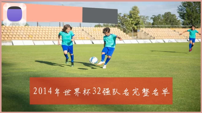 2014年世界杯32强队名完整名单
