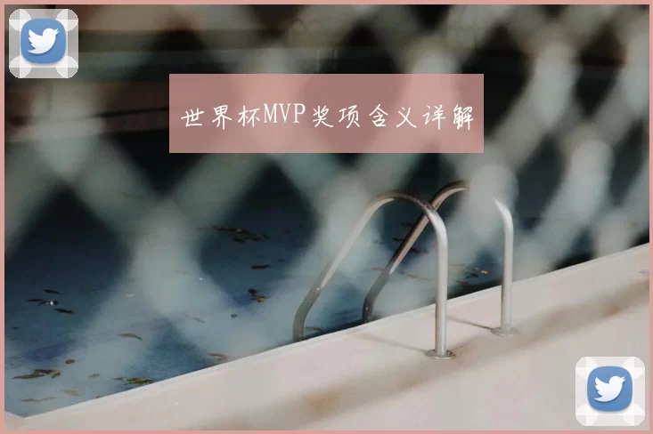 世界杯MVP奖项含义详解