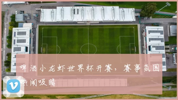 啤酒小龙虾世界杯开赛，赛事氛围热闹吸睛