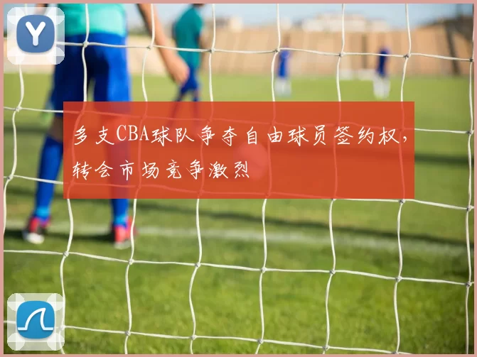 多支CBA球队争夺自由球员签约权，转会市场竞争激烈
