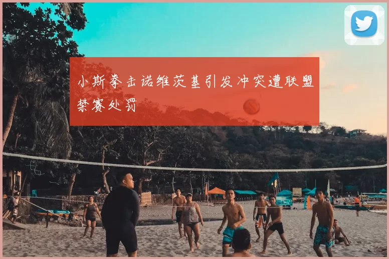 小斯拳击诺维茨基引发冲突遭联盟禁赛处罚