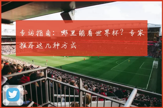专访指南：哪里能看世界杯？专家推荐这几种方式