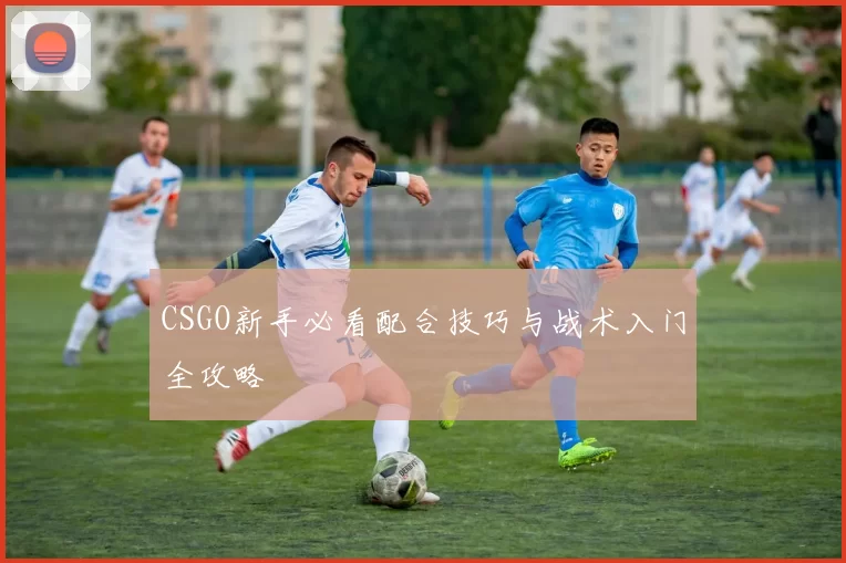 CSGO新手必看配合技巧与战术入门全攻略