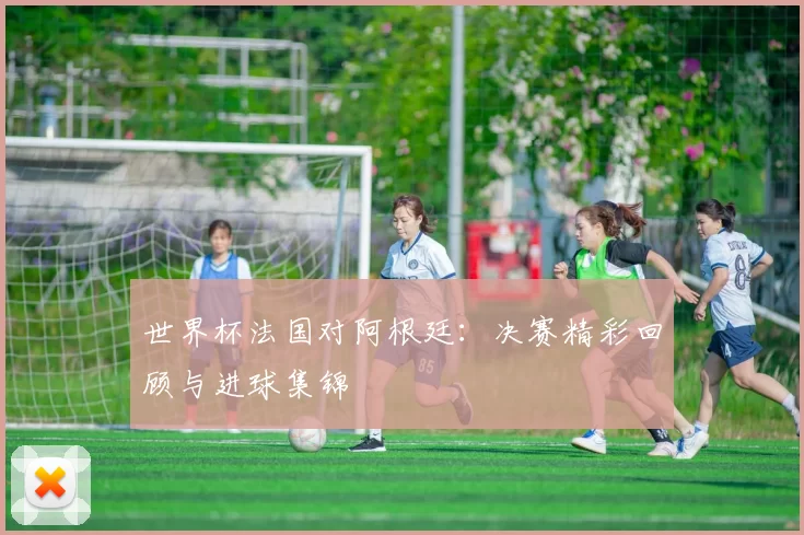 世界杯法国对阿根廷：决赛精彩回顾与进球集锦