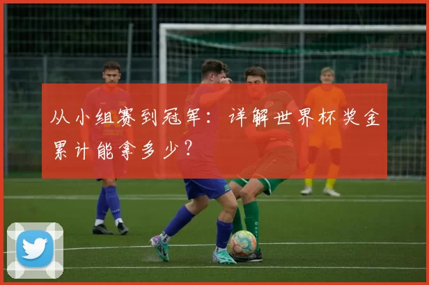 从小组赛到冠军:详解世界杯奖金累计能拿多少?