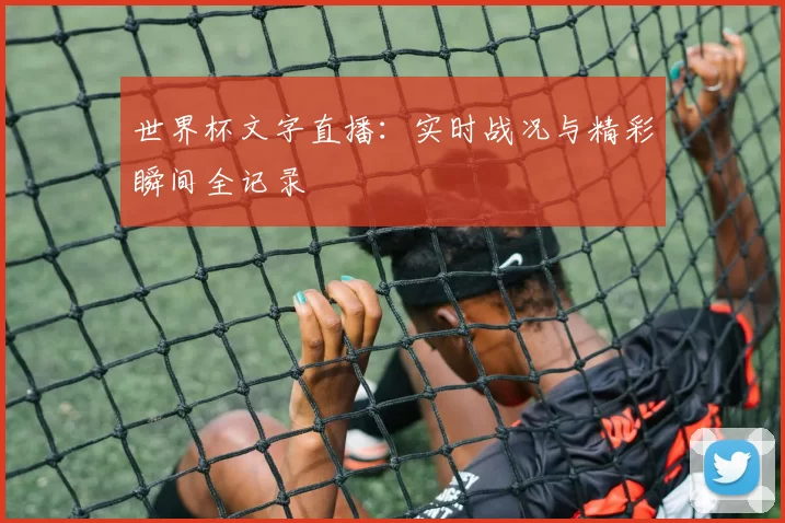 世界杯文字直播：实时战况与精彩瞬间全记录