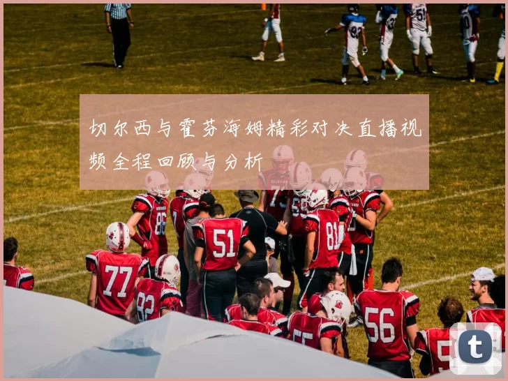 切尔西与霍芬海姆精彩对决直播视频全程回顾与分析