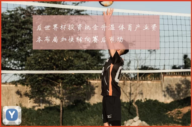 后世界杯投资机会升温 体育产业资本布局加快转向赛后市场