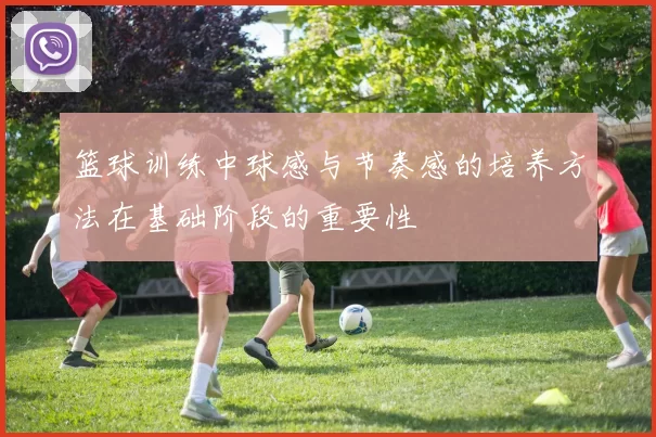 篮球训练中球感与节奏感的培养方法在基础阶段的重要性